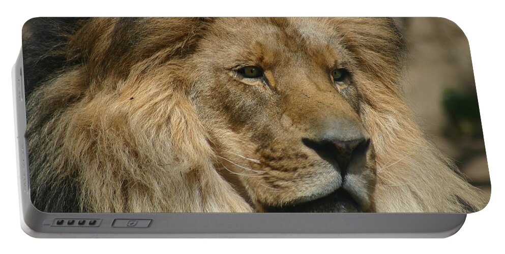 Lion Portable Battery Charger featuring the photograph Your Majesty by Anthony Jones