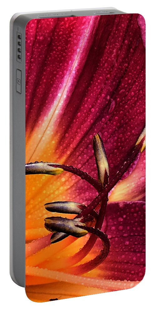 Art Portable Battery Charger featuring the photograph Youthful Joyride by Jeff Iverson