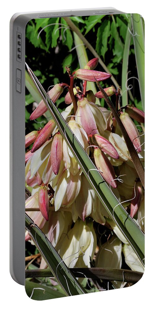 Nature Portable Battery Charger featuring the photograph Yucca Bloom I by Ron Cline