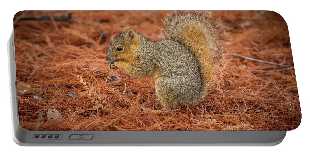 2016 Portable Battery Charger featuring the photograph Yum Yum Nuts Wildlife Photography by Kaylyn Franks   by Kaylyn Franks