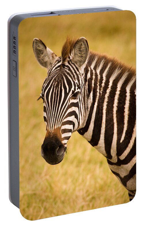 3scape Photos Portable Battery Charger featuring the photograph Zebra by Adam Romanowicz