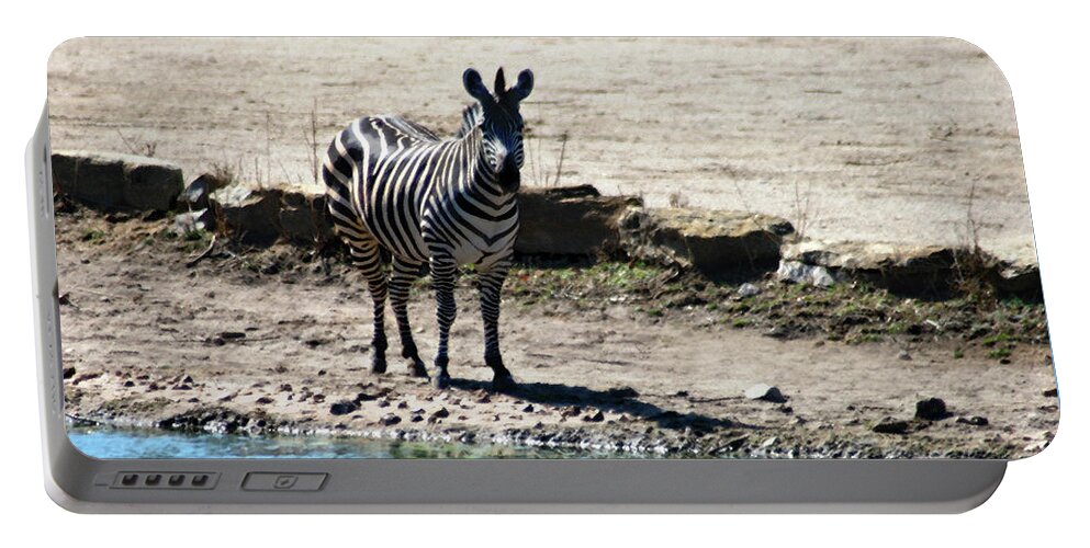 Zebra Portable Battery Charger featuring the mixed media Zebra at the watering hole by Steve Karol