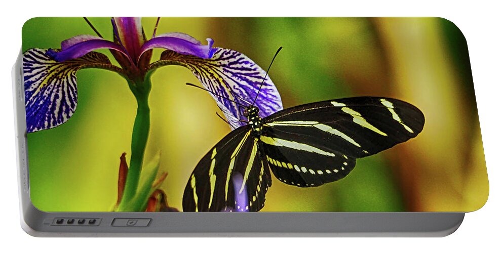Butterfly Portable Battery Charger featuring the photograph Zebra Longwing on Iris by C H Apperson