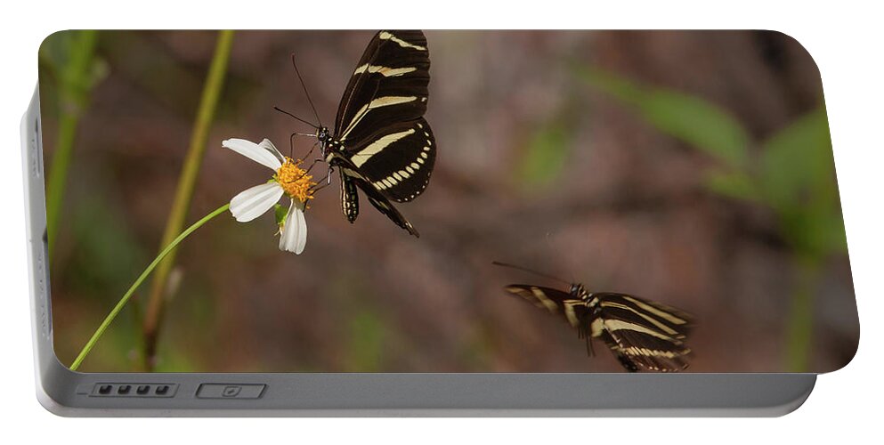 Butterfly Portable Battery Charger featuring the photograph Zebra Longwings by Paul Rebmann