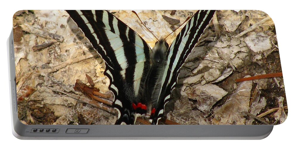Butterfly Portable Battery Charger featuring the photograph Zebra Swallowtail by Donna Brown