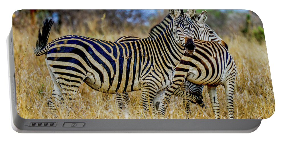 Africa Portable Battery Charger featuring the photograph Zebras on the Tarangire by Marilyn Burton