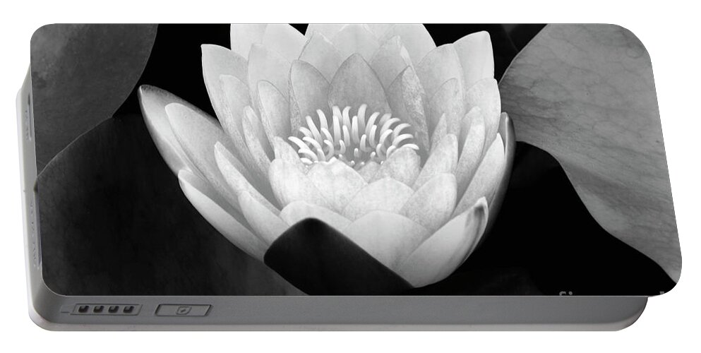 Waterlily Portable Battery Charger featuring the photograph Rising Zen by John F Tsumas