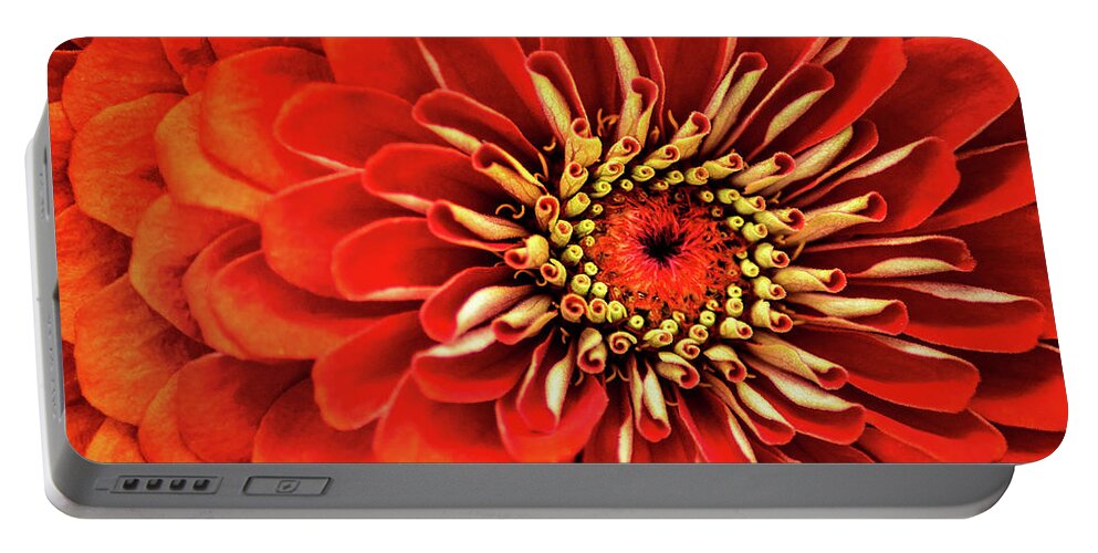 Flower Portable Battery Charger featuring the photograph Zinnia-Macro by Don Johnson