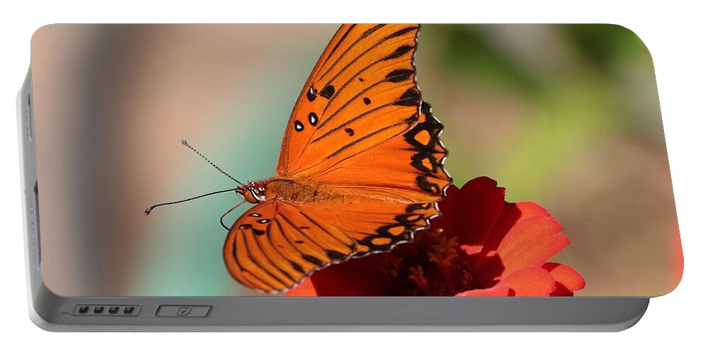 Flower Portable Battery Charger featuring the photograph Zinnia with Butterfly 2669 by John Moyer