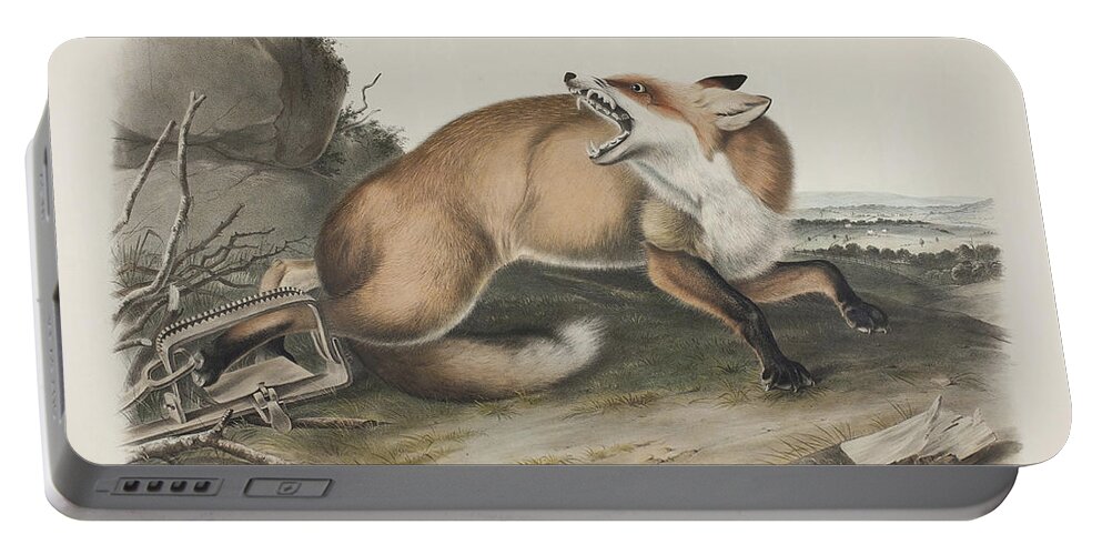 Fox Portable Battery Charger featuring the painting American Red Fox by John James Audubon