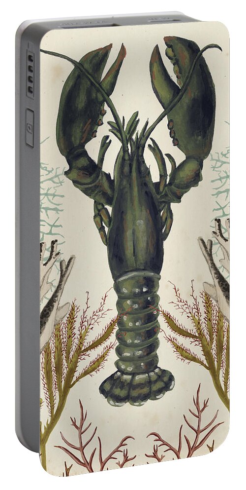 Coastal Portable Battery Charger featuring the painting Antiquarian Menagerie - Lobster by Naomi Mccavitt