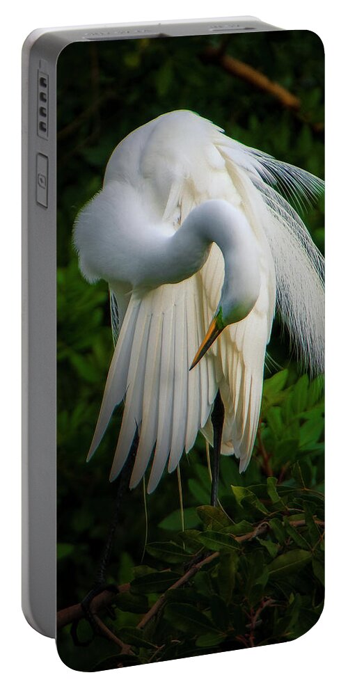 Nature Portable Battery Charger featuring the photograph Breeding Plumage and Color #1 by Donald Brown