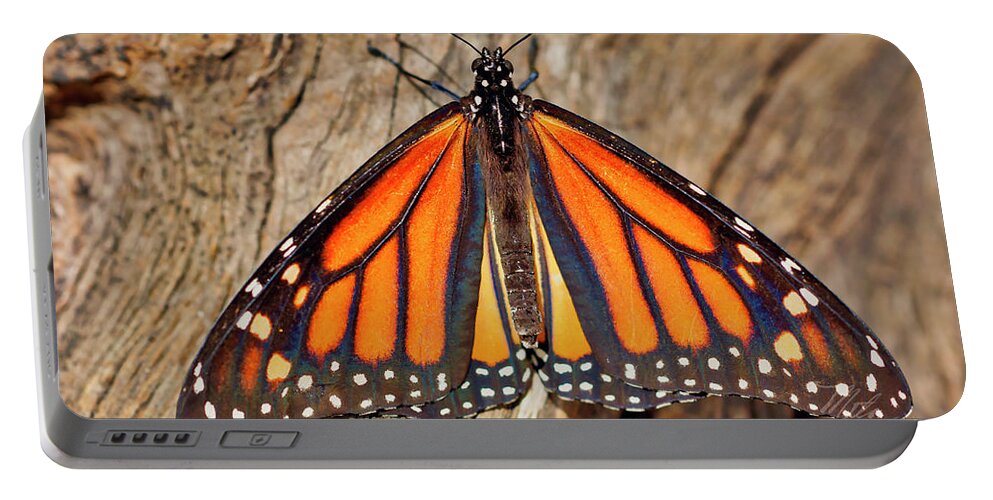 Macro Photography Portable Battery Charger featuring the photograph Butterfly Wings by Meta Gatschenberger