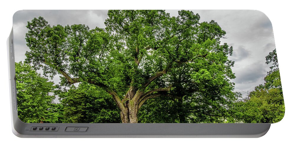 Centennial Oak Portable Battery Charger featuring the photograph Centennial Oak, Salem Oak Tree by Louis Dallara