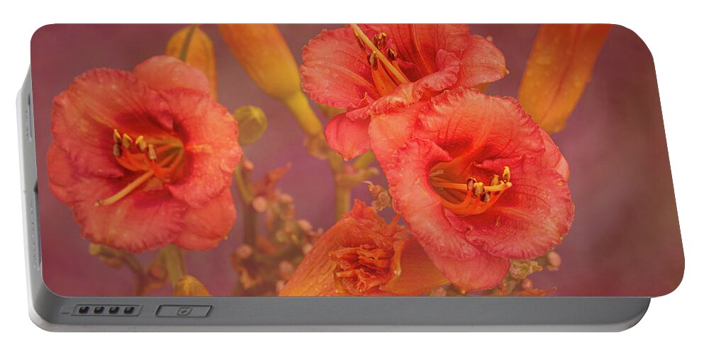 Flower Portable Battery Charger featuring the photograph Colors of Summer by Allin Sorenson