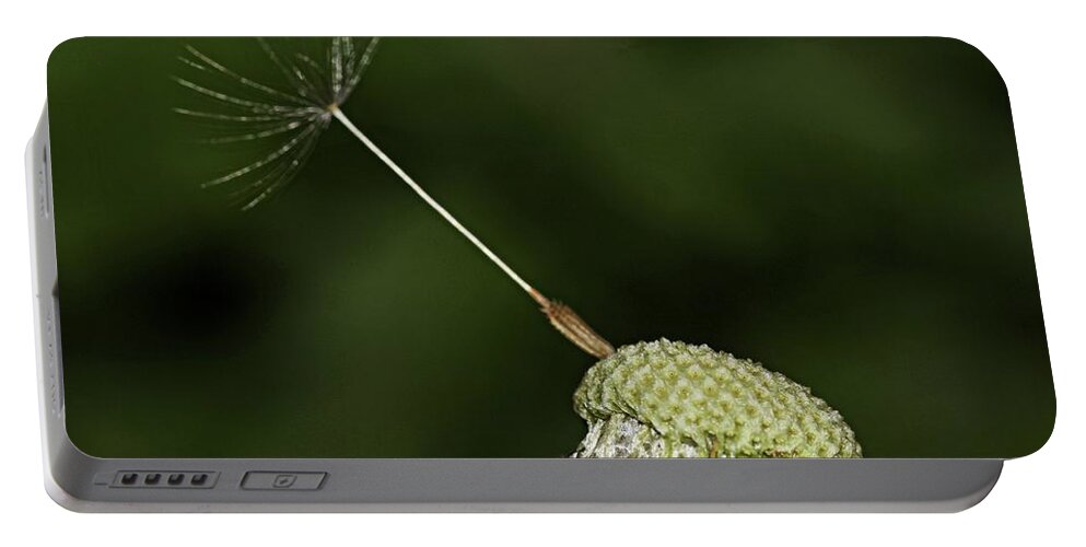 Dandelion Head Portable Battery Charger featuring the photograph Dandelion macro #1 by Martin Smith