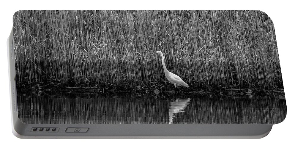 Shorebird Portable Battery Charger featuring the photograph Egret Reflection 5831 #1 by Cathy Kovarik