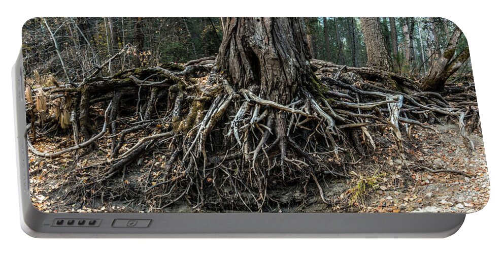 Roots Portable Battery Charger featuring the photograph Enormous Tree And Roots By The River #1 by Alex Grichenko