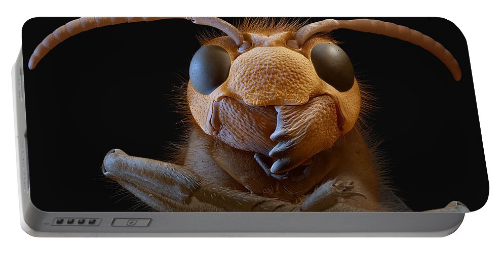 Animal Portable Battery Charger featuring the photograph European Hornet, Sem #1 by Meckes/ottawa