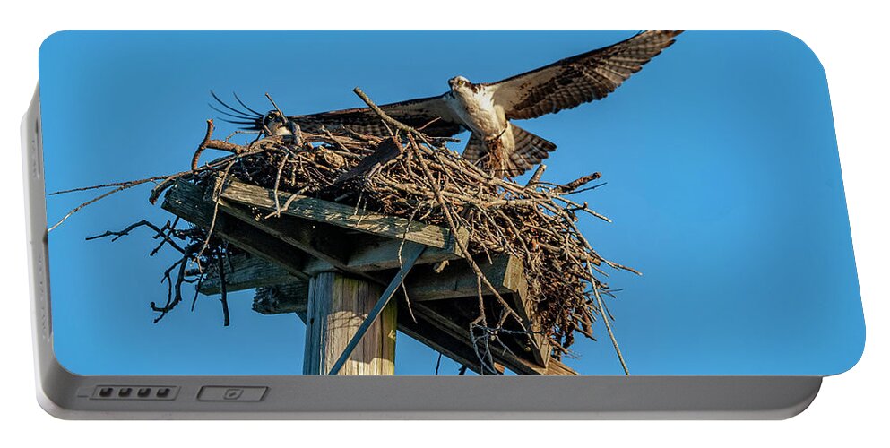 Osprey Portable Battery Charger featuring the photograph Feathering The Nest by Cathy Kovarik