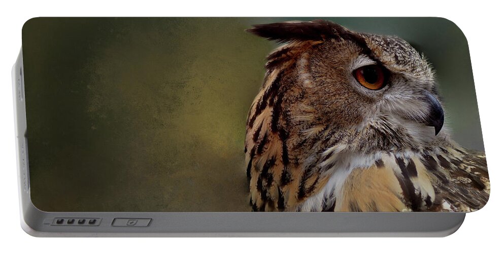 Great Horned Owl Portable Battery Charger featuring the photograph Hoo Goes There by Kathy Kelly