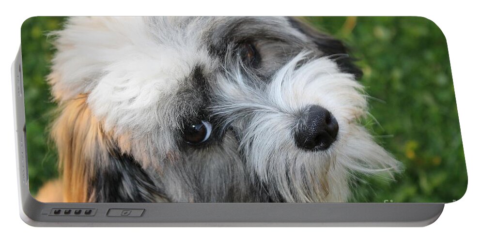 Sea Portable Battery Charger featuring the digital art Havanese by Michael Graham