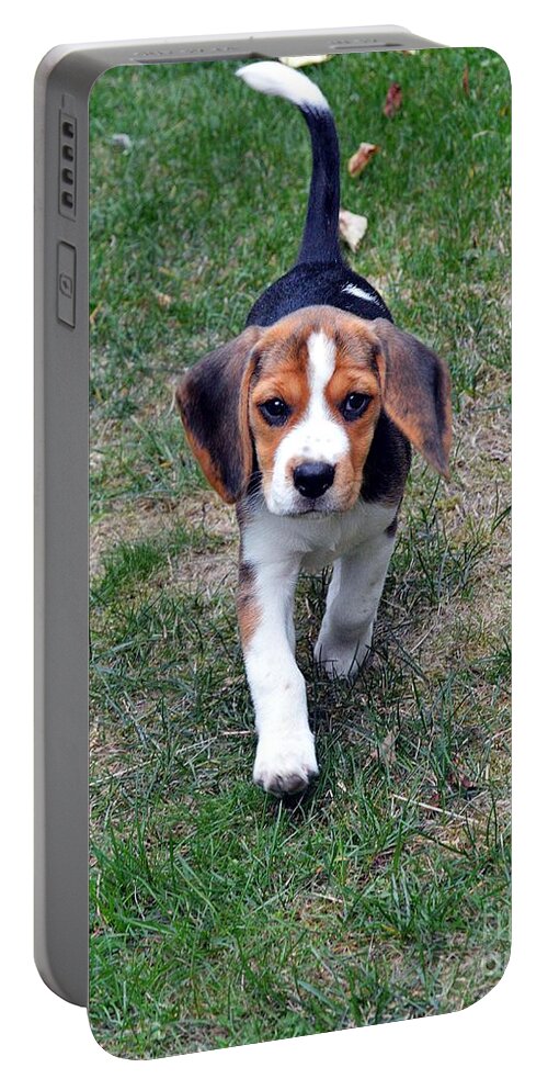 Beagle Puppy Portable Battery Charger featuring the photograph Hermine The Beagle by Thomas Schroeder