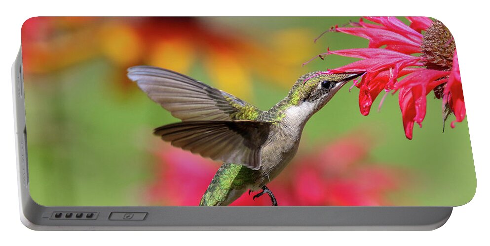 Hummingbird Portable Battery Charger featuring the photograph Hummingbird And Bee Balm 6 #1 by Brook Burling