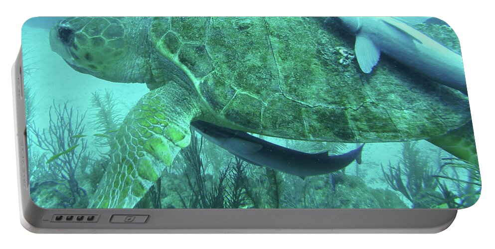 Marine Life Portable Battery Charger featuring the photograph Its good to have friends by Leslie Struxness
