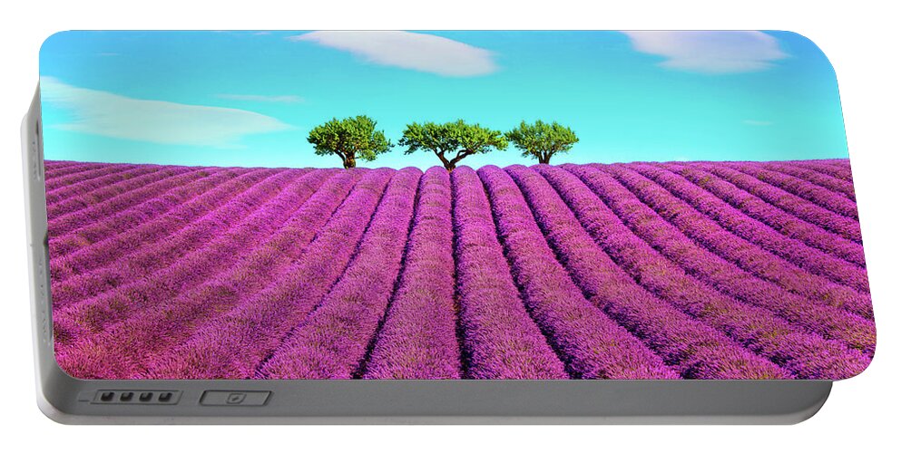 Lavender Portable Battery Charger featuring the photograph Lavender and trees on the top of the hill. Provence, France by Stefano Orazzini