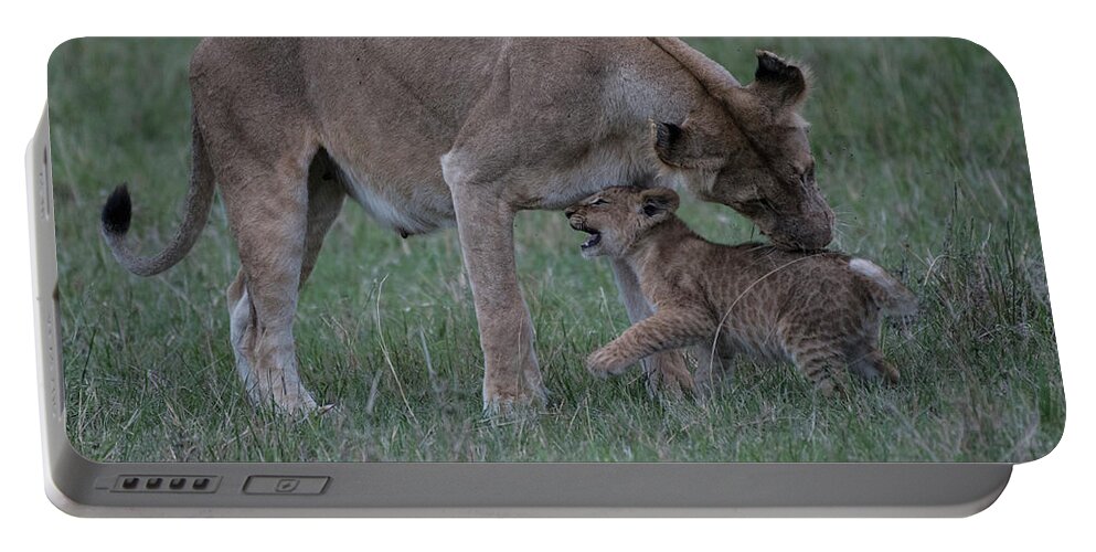 Africa Portable Battery Charger featuring the photograph Lion Cubs - Masai Mara #2 by Steve Somerville