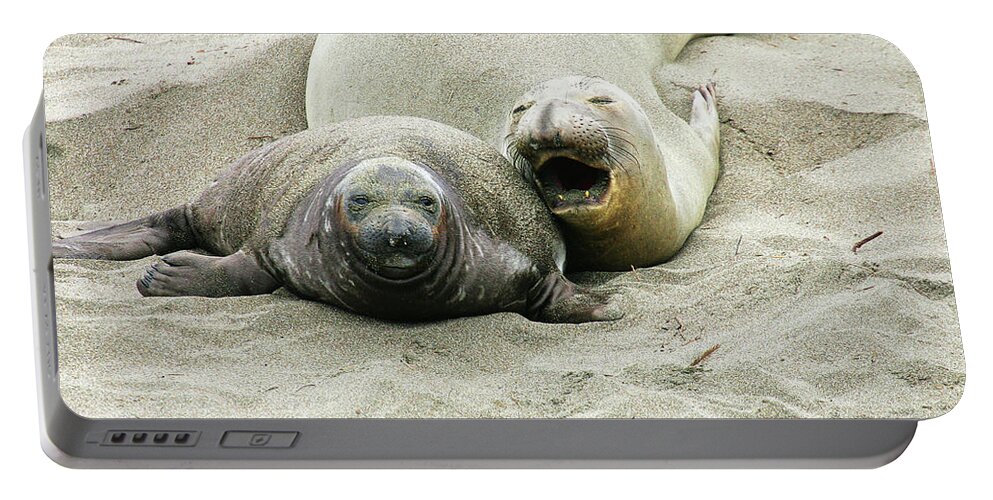 Elephant Seals Portable Battery Charger featuring the photograph Mom and Pup #1 by Anthony Jones