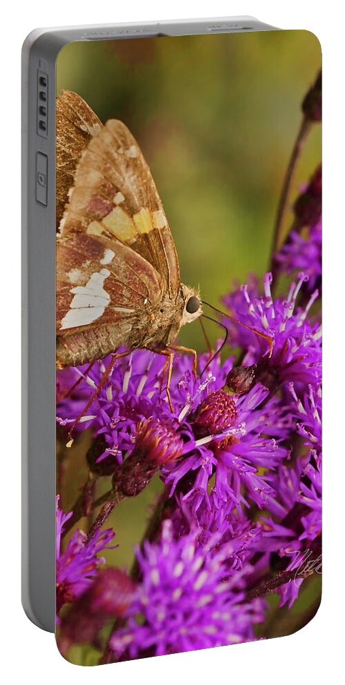 Macro Photography Portable Battery Charger featuring the photograph Moth On Purple Flowers #1 by Meta Gatschenberger