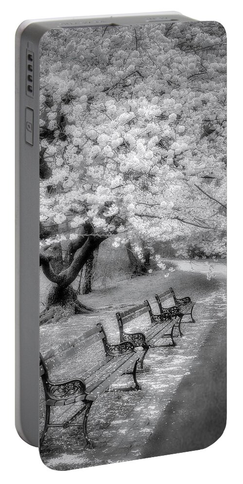 Cherry Blossom Portable Battery Charger featuring the photograph Natures After Party Confetti #2 by Susan Candelario