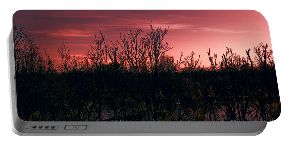 Nightsky Portable Battery Charger featuring the photograph Nightsky #1 by Douglas Barnard