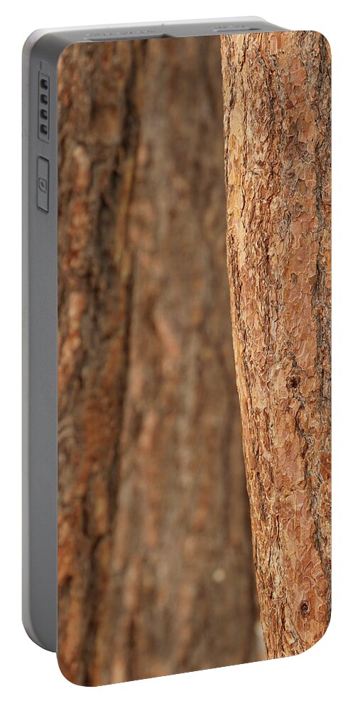 Bend Portable Battery Charger featuring the photograph Ponderosa pine bark detail #1 by Steve Estvanik