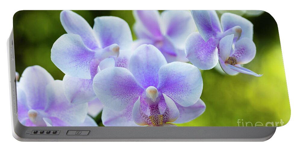 Background Portable Battery Charger featuring the photograph Purple Orchid Flowers #1 by Raul Rodriguez