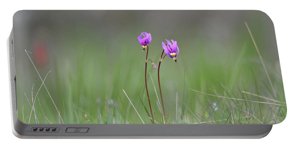 Wildflowers Portable Battery Charger featuring the photograph Shooting Stars #1 by Whispering Peaks Photography