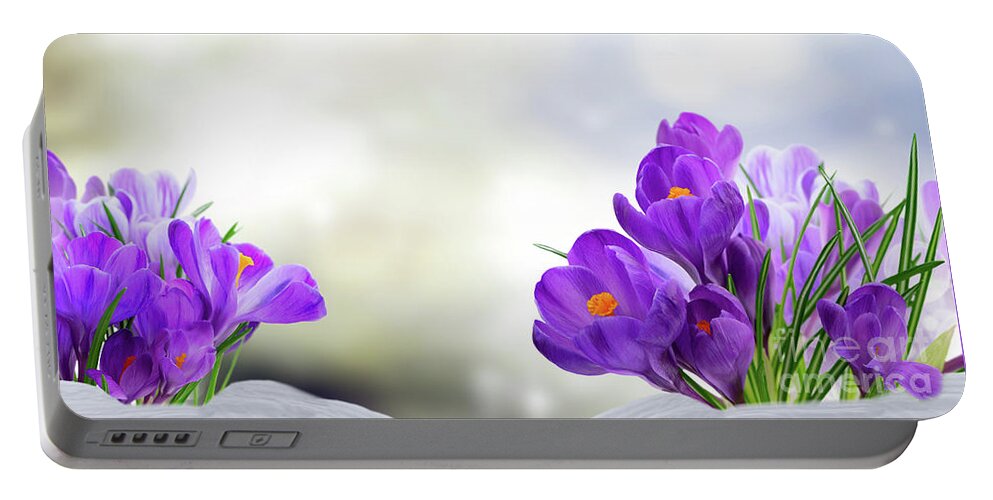 Beam Portable Battery Charger featuring the photograph Early Spring Crocuses by Anastasy Yarmolovich