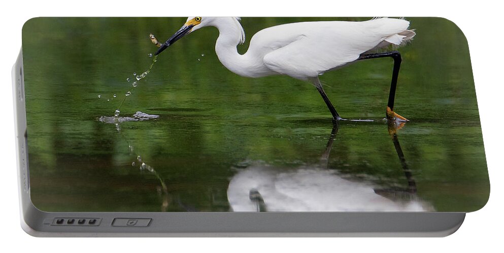 Bird Portable Battery Charger featuring the photograph Taste for Tadpoles by Art Cole