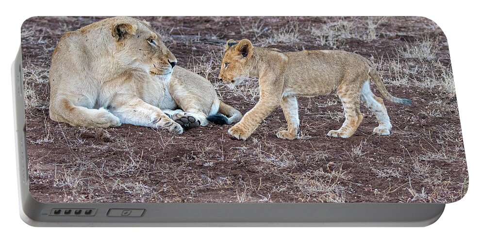 Lion Portable Battery Charger featuring the photograph The Greeting #1 by Mark Hunter