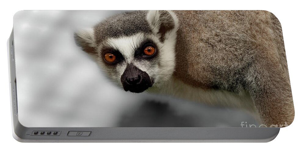 Lemur Portable Battery Charger featuring the photograph The stare #1 by Sam Rino
