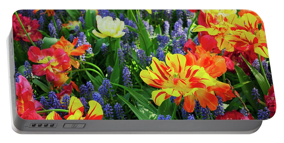 Tulips Portable Battery Charger featuring the photograph Tulips and Bluebell Flowerbed #2 by Anastasy Yarmolovich