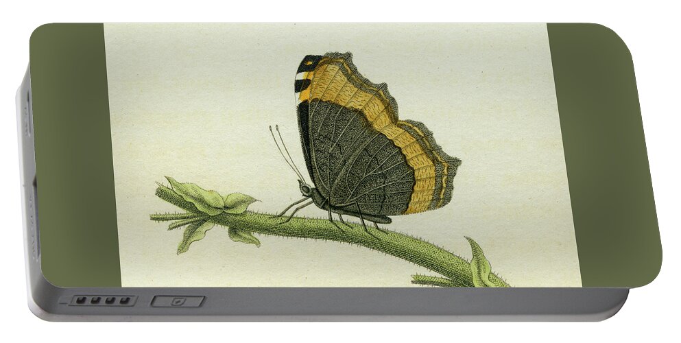 Entomology Portable Battery Charger featuring the mixed media Vanessa furcillata detail by W W Wood