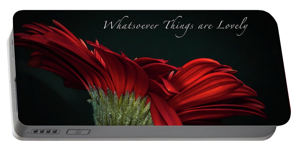 Gerber Daisy Portable Battery Charger featuring the photograph Whatsoever Things are Lovely #1 by Joni Eskridge