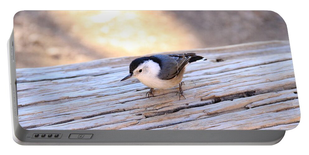 Bryce Canyon Portable Battery Charger featuring the photograph White Breasted Nuthatch #2 by Ed Riche