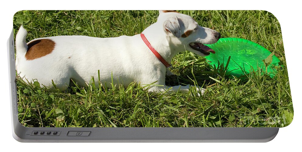 Labrador Portable Battery Charger featuring the photograph White labrador dog #1 by Irina Afonskaya