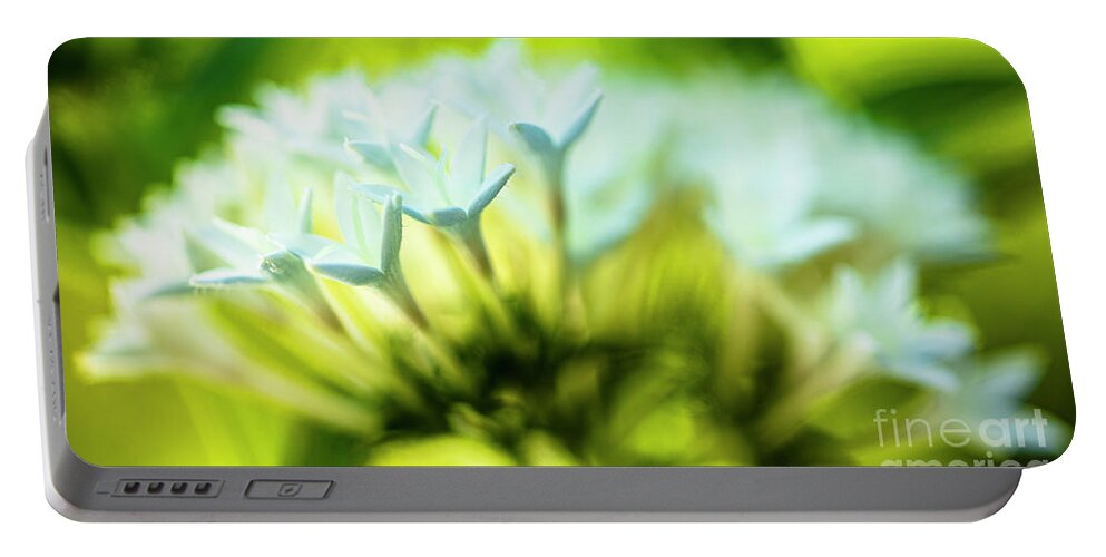 Background Portable Battery Charger featuring the photograph White Pentas Flowers by Raul Rodriguez