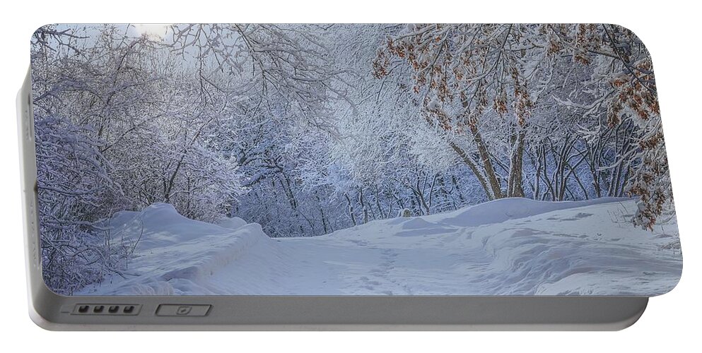 Winter Portable Battery Charger featuring the photograph Winter Wonderland by Susan Rydberg