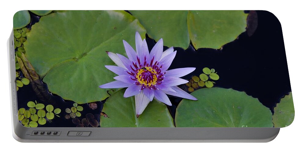 Naples Portable Battery Charger featuring the photograph Botanical Gardens #10 by Donn Ingemie